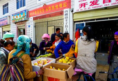  View on daily life in a city in Tibet.