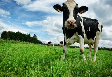 Trading America for Australia