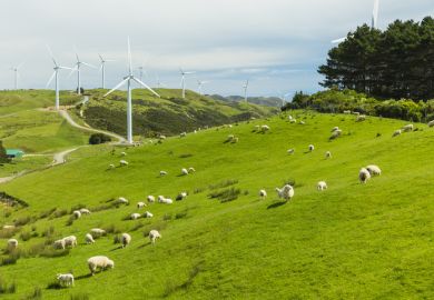 Wind turbines and sheep on Wellington's western coast in New Zealand