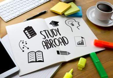 Why Chinese students study abroad