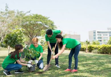 students planting trees