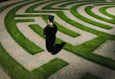Graduate employment maze