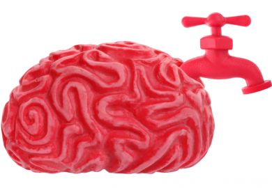 Brain drain Brain drain