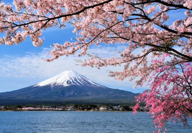 Mount Fuji and cherry tree, Japan