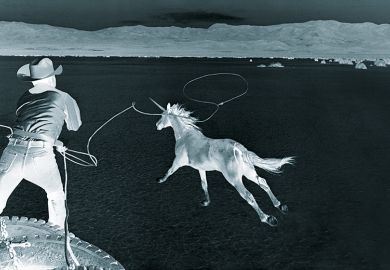 Is chasing unicorns the way to achieve commercial success? Is chasing unicorns the way to achieve commercial success?