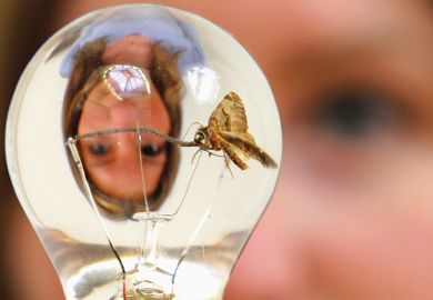 Woman’s reflection and a moth in a light bulb illustrating female ideas and women philosophers
