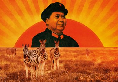 Mao Zedong portrait/Herd of zebra grazing on African plain
