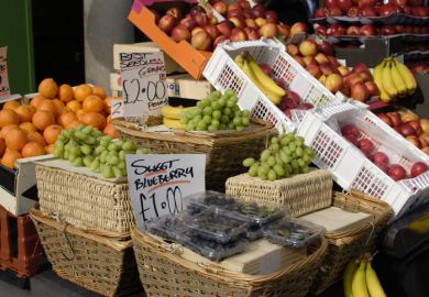 A fruit market with prices marked