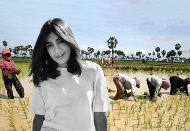 Montage of Maryam Aslany with Cambodian women farmers growing rice in their fields in Kampong Cham province