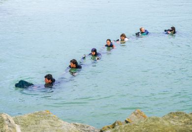 Newfoundland dog pulling people in water rescue exercise, Brittany, France
