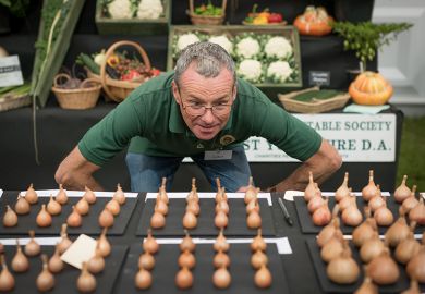 Shallots are judged during the Harrogate Autumn flower show at Newby Hall and Gardens, 2025. To illustrate that the UK’s market for students needs careful curation.