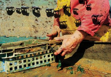 Oyster fisherman catching Colchester Natives, West Mersea, UK Oyster fisherman catching Colchester Natives, West Mersea, UK