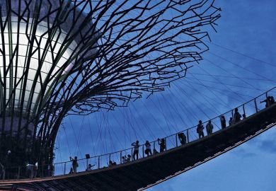 People on Supertree suspension bridge, Garden by the Bay, Singapore