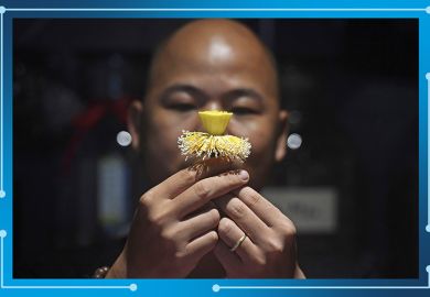 Man holding a lotus flower at his shop in Hanoi, Vietnam. To illustrate the rankings portfolio expanding to support regional development. Man holding a lotus flower at his shop in Hanoi, Vietnam. To illustrate the rankings portfolio expanding to support regional development.