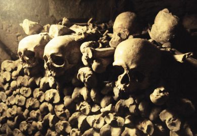Pile of skulls and bones in French catacombs