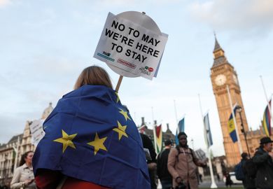 Pro-EU protester