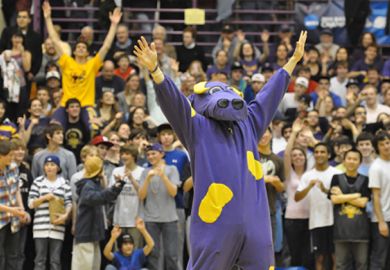 Weirdest US College mascots