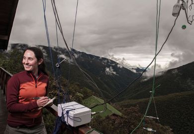 Rachel Gallery Rachel Gallery