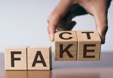 Blocks with "fact" and "fake" written on them, symbolising research culture