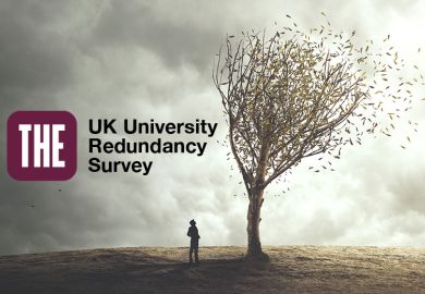 Person looking at tree with leaves blowing away and the THE UK University Redundancy Survey logo.