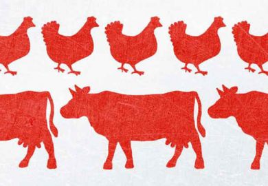 Review: Chickenizing Farms & Food, by Ellen K. Silbergeld