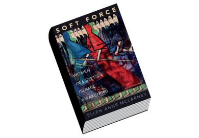 Review: Soft Force, by Ellen Anne McLarney Review: Soft Force, by Ellen Anne McLarney