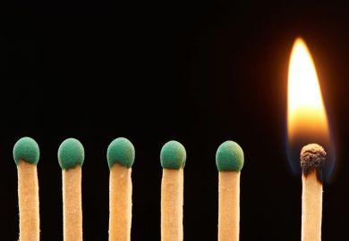 Row of green matches, one burning Row of green matches, one burning