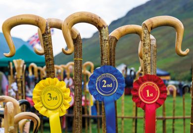 Row of prize-winning shepherds crooks and rosettes Row of prize-winning shepherds crooks and rosettes