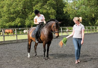 Offering a bunch of carrots to train a pony Offering a bunch of carrots to train a pony to illustrate Russia scholars split over sanctions work
