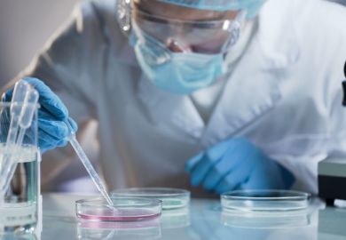 Scientist carefully carrying matured cell to another plate