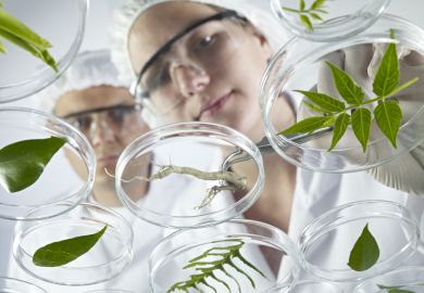 Scientists examine petri dishes