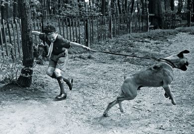 Boy scout grips a tree while being pulled by dog