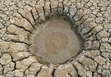 Shallow mud-filled hole