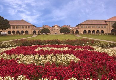 Stanford quadrangle with roses