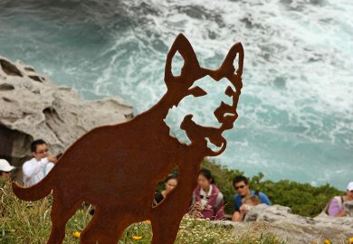 A steel dog resembling a wolf from the sculpture “Every dog has its day” by artist Geoff Harvey stands overlooking Bondi beachnear Sydney, Australia. To illustrate whether Australian universities are crying wolf over their finances.