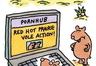 The week in HE illustration (27 April 2017)