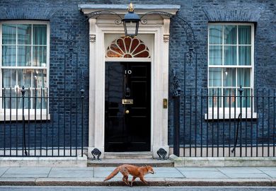 Fox at number 10