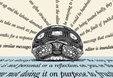 A tortoise hiding in its shell while being bombarded with lines of text. To illustrate publishers being inundated with requests which can lead to standards slipping.
