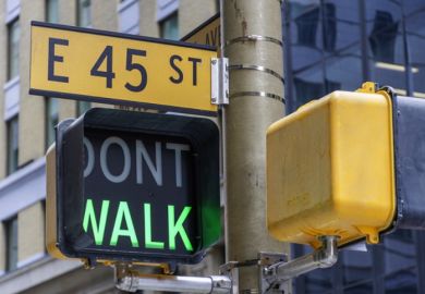 Crossing lights with walk/don't walk options