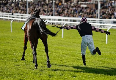 Harry Skelton dances up the track with Walk in Clover after being unseated at Cheltenham, England on 27 October 2023. As an illustration of who controls areas of research as UKRI handed more cash for betting-related research.