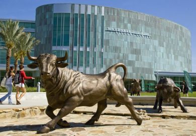 University of South Florida