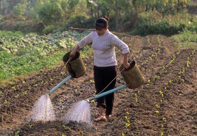 Vietnamese farmer