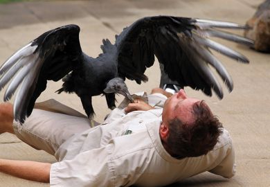 A vulture on a man’s body