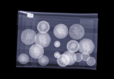 X-ray of purse filled with UK coins, illustrating that universities could be required to be transparent in how they spend money received in quality-related (QR) funding from the Research Excellence Framework. X-ray of purse filled with UK coins, illustrating that universities could be required to be transparent in how they spend money received in quality-related (QR) funding from the Research Excellence Framework.