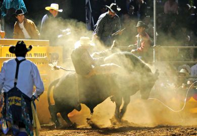  Bull riding to illustrate Melbourne fights order to reveal its landholdings