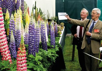 Judges inspect an arrangement of colourful flowers to illustrate High REF scores linked to strong journal impact factors – study