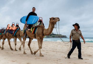 Person hitching a camel ride to the surf at Bondi Beach Person hitching a camel ride to the surf at Bondi Beach to illustrate New Zealand and Australia face bumpy road to open up research