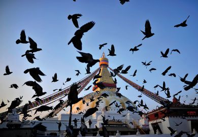 Pigeons flies over around the Boudhanath stupa at Kathmandu, Nepal to illustrate Nepal university strives to break free of political interference
