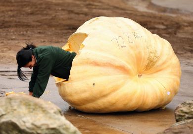 Person climbing out of a giant pumpkin in Sydney, Australia Person climbing out of a giant pumpkin in Sydney, Australia to illustrate ‘Hollowing out’ of Australian workforce poses ‘pipeline’ concerns