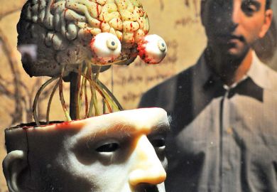  A life-like dissection of a head to show the head and cranial nerves to illustrate ‘Cognitive dissonance’ blamed for academics’ mental health woes